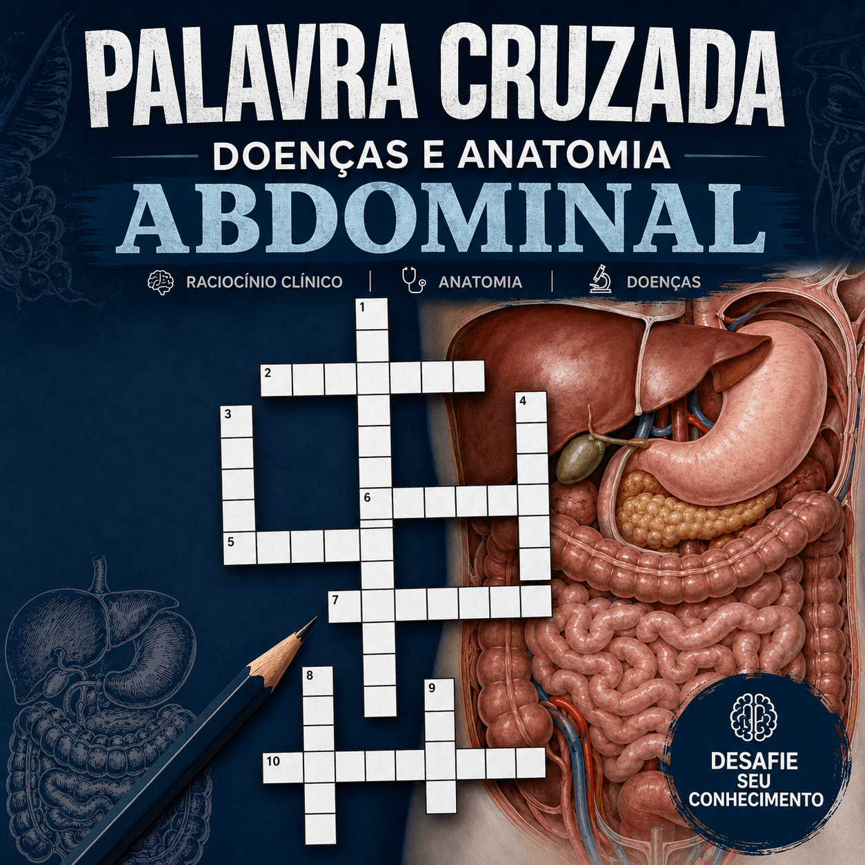 ANATOMIA DO ABDOMEN (1)